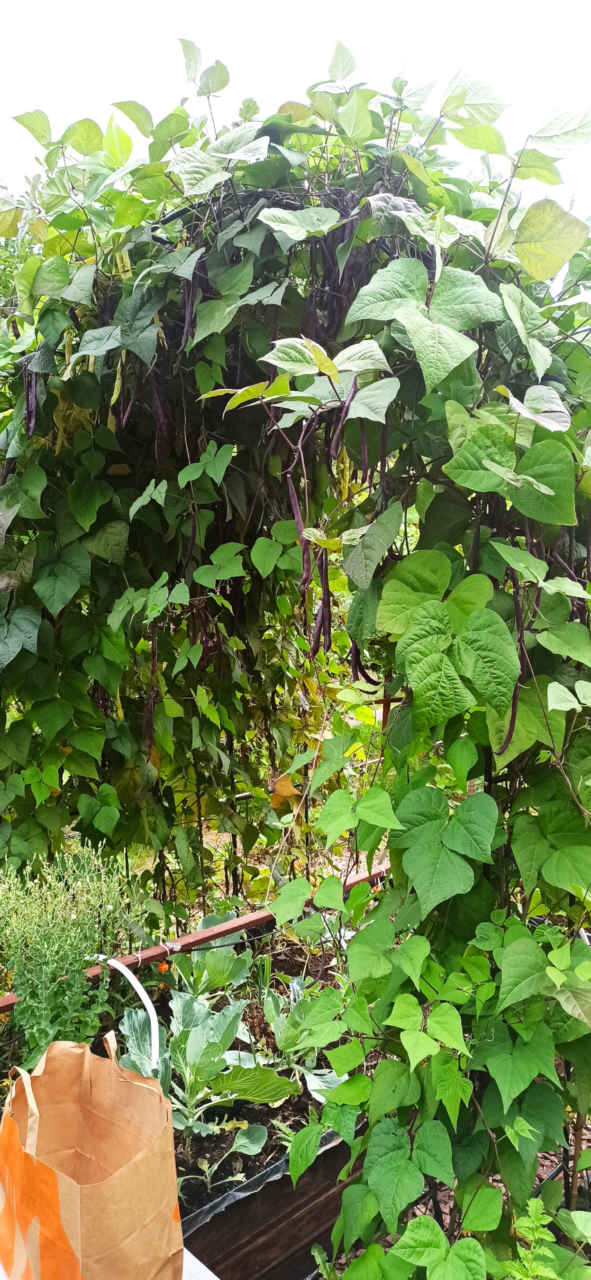 rodzina,piknik,ogród działkowy,gardening,slowlife,relaks,upcycling,DIY,