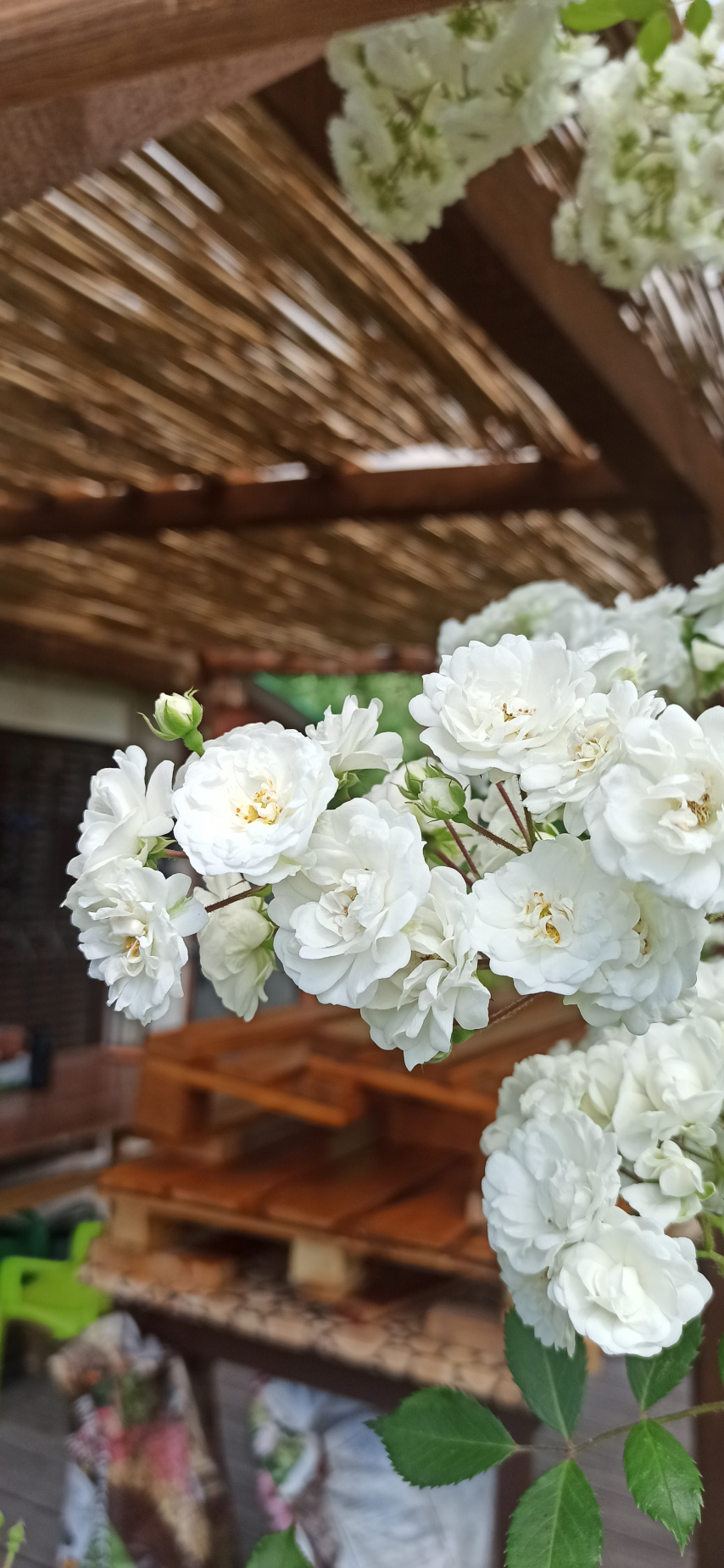 rodzina,piknik,ogród działkowy,gardening,slowlife,relaks,upcycling,DIY,