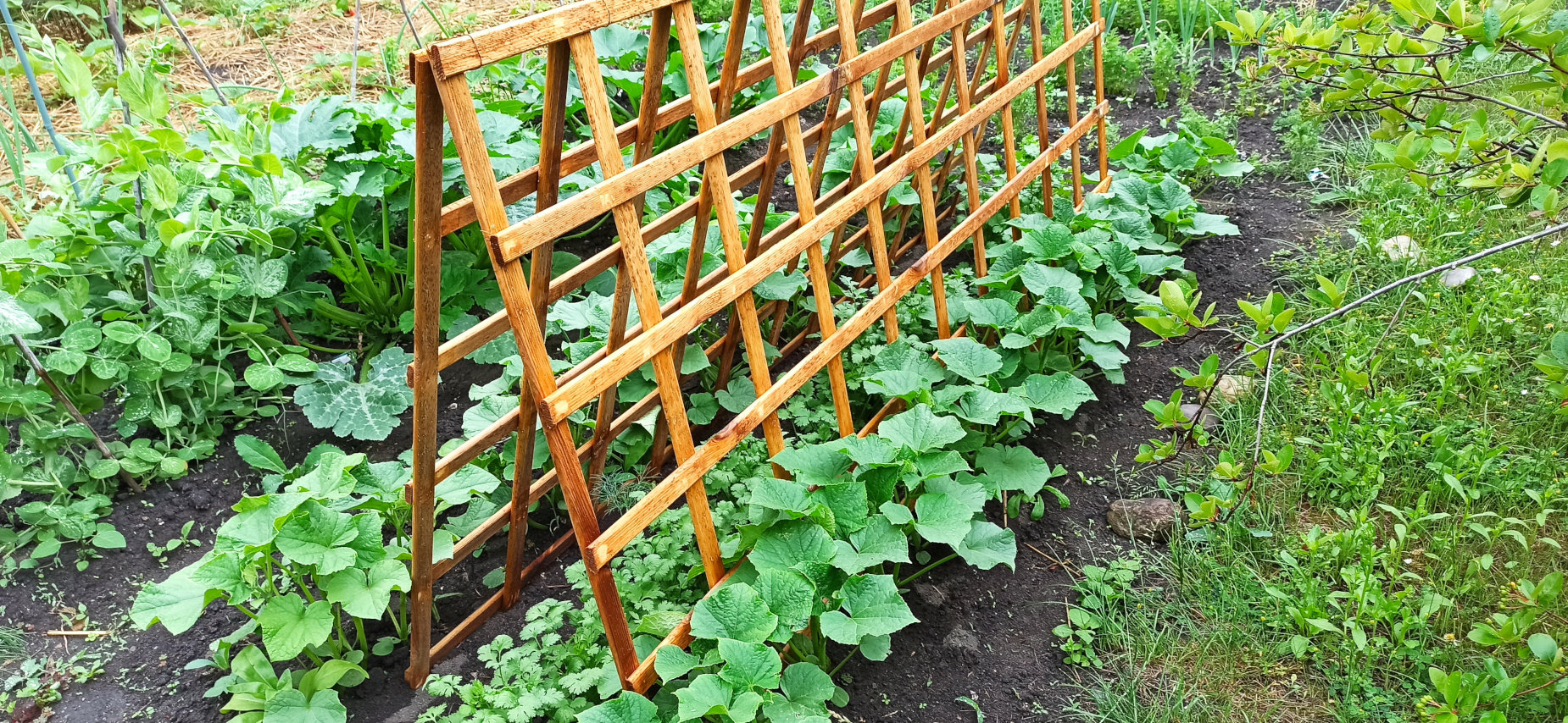 rodzina,piknik,ogród działkowy,gardening,slowlife,relaks,upcycling,DIY,