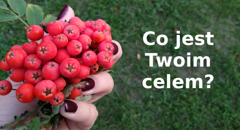 cel,działanie,zaangażowanie,