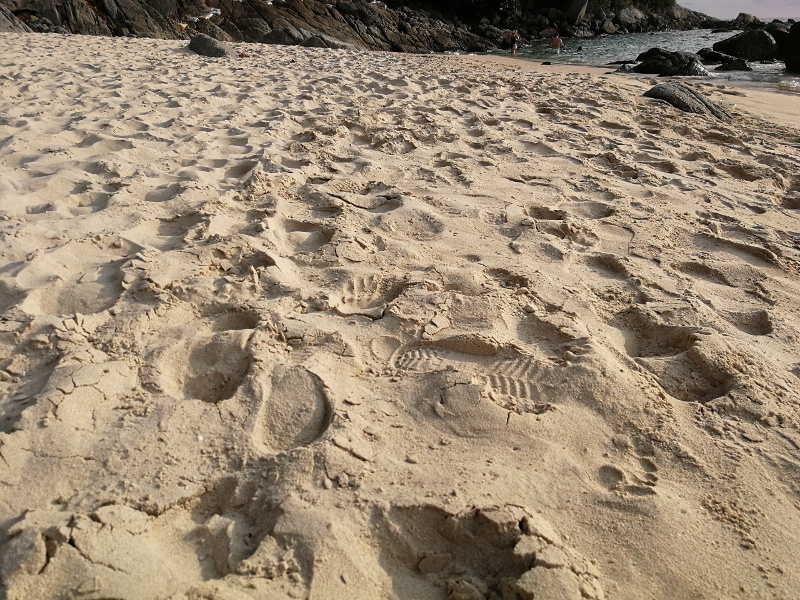 Inicjatywa. Własne działanie. inicjatywa,działanie,pasja,praca,rozwój osobisty,rozwój zawodowy,