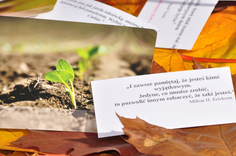 Inicjatywa.Własne narzędzie. inicjatywa,działanie,pasja,praca,rozwój osobisty,rozwój zawodowy,