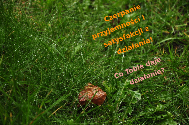 praca,POY,zaangażowanie,nauka,pasja,