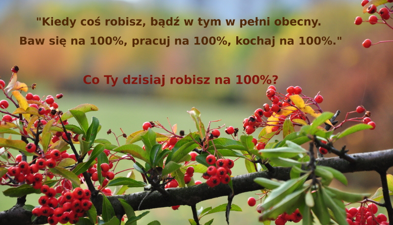 praca,zaangażowanie,pasja,rozwiązania,cel,