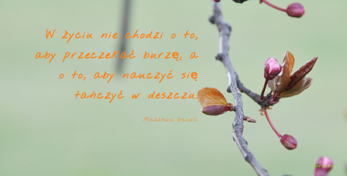 cytaty, nowości, możliwości, kropla deszczu, pozytywne myślenie,otwórz się na nowe możliwosci, jakie mam możliwości,deszczu, 