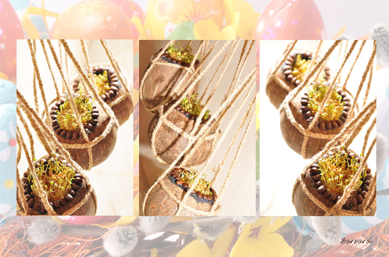 wielkanoc, wielknanocny, stroik, rzerzucha, kokos, kokosy, kokosowy, wielkanocne, stroiki, jajka, święta, wata, waty