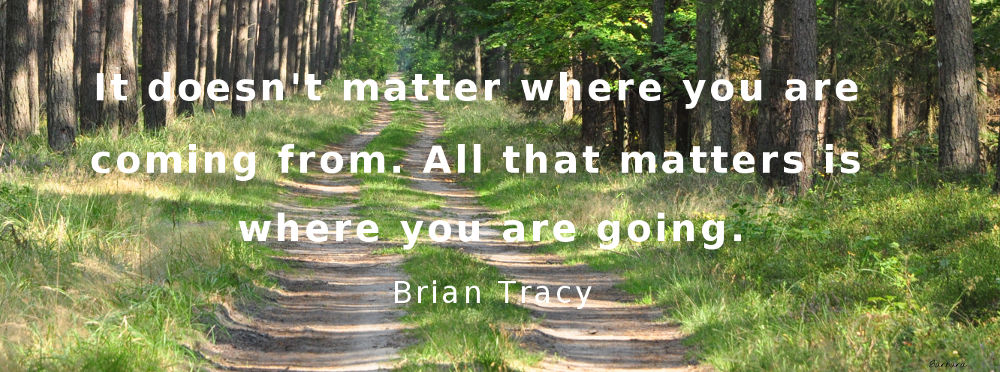 Brian Trasy Quotes way, travel, coaching, goals, treated, passion,