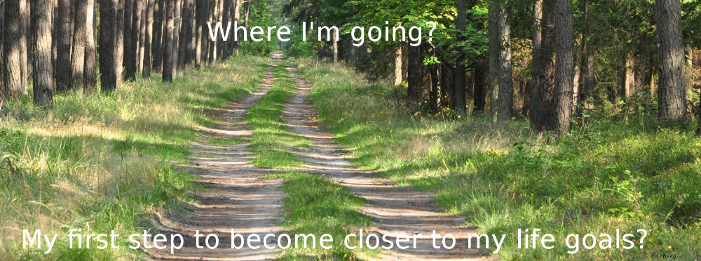 way, travel, coaching, goals, treated, passion, 