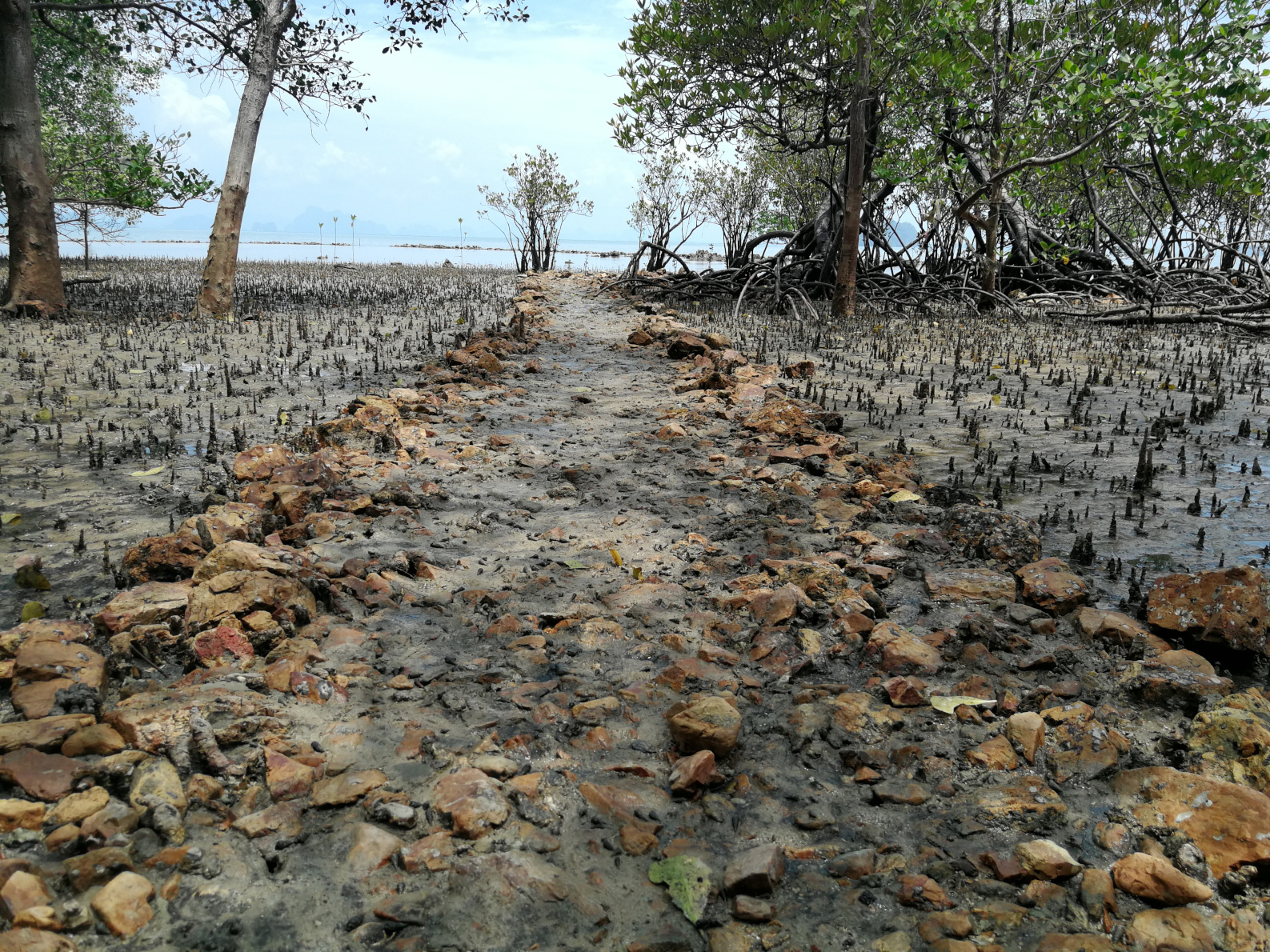 Thailand,Koh Yao Noi,Holy Spring Water,a stone path,